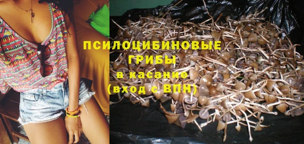 хмурый Пролетарск