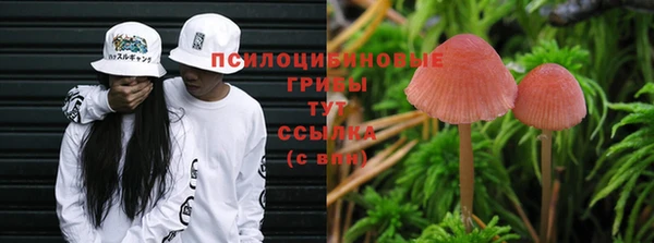 дистиллят марихуана Гатчина