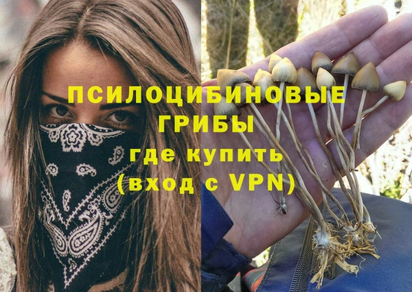 хмурый Пролетарск