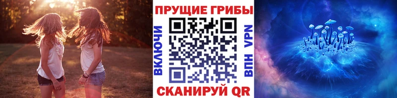 купить   Вязьма  Псилоцибиновые грибы MAGIC MUSHROOMS 