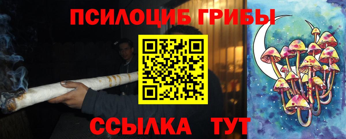 Галлюциногенные грибы Psilocybe  хочу   Псилоцибиновые грибы мухоморы  Вязьма 