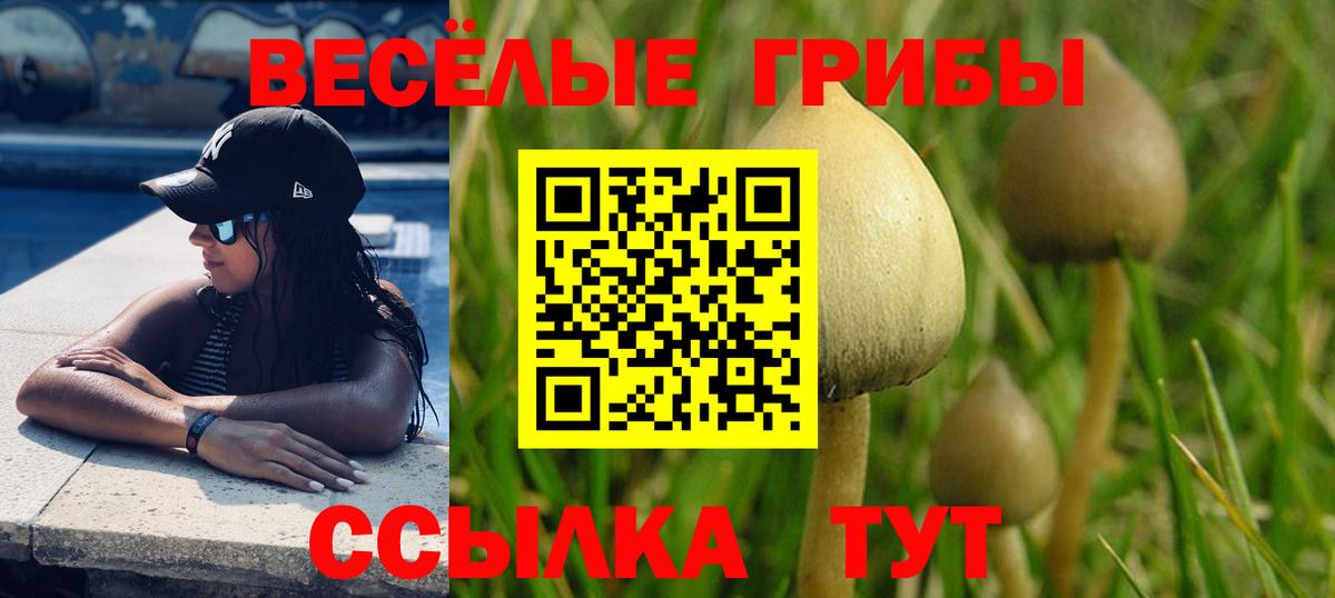 Вязьма  Псилоцибиновые грибы прущие грибы  Галлюциногенные грибы мухоморы  Вход с VPN 